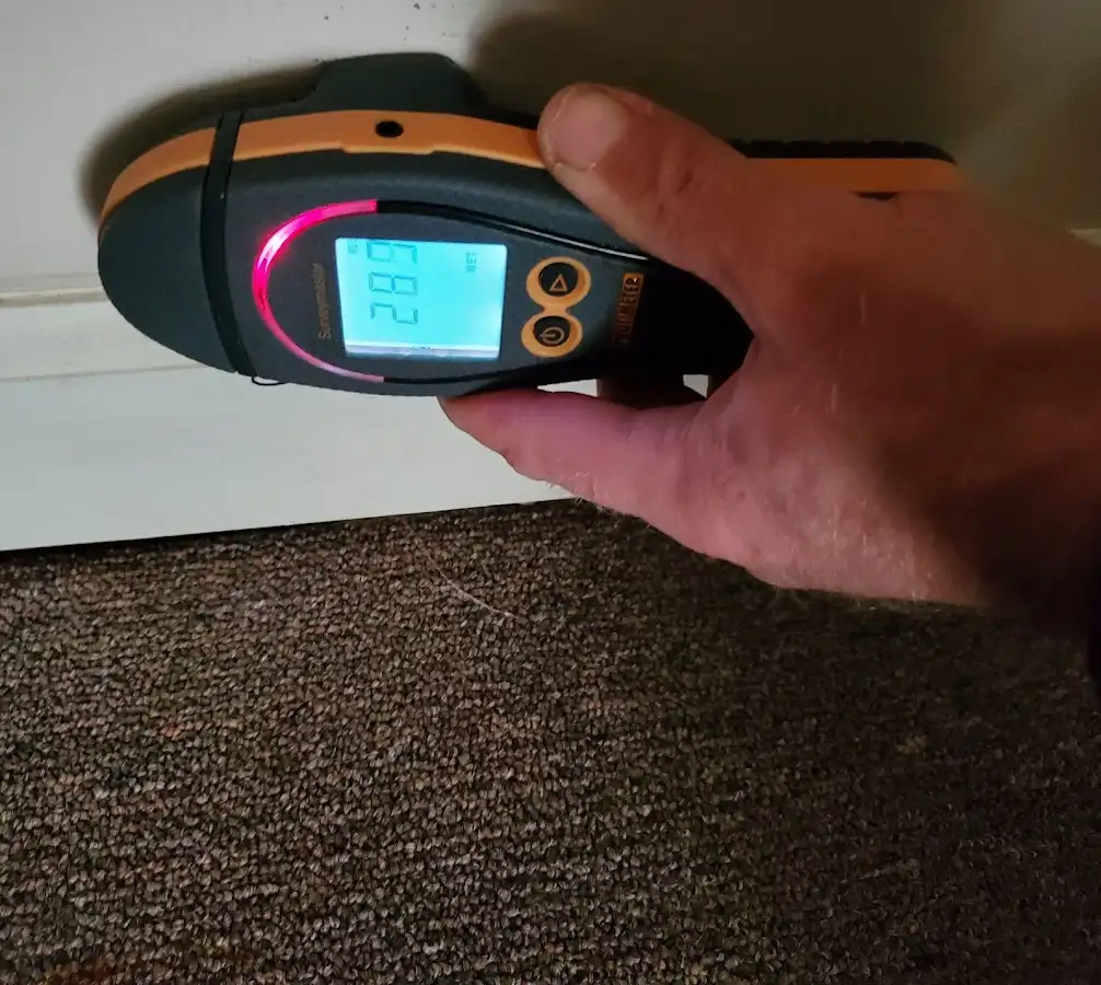 Moisture detection at baseboard during Mold Inspection & Testing in Hurricane